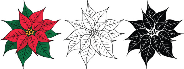 Fototapeta premium Christmas Poinsettia flower silhouette & Outline and illustration set isolated on transparent background