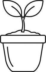 Small plant growing in a pot