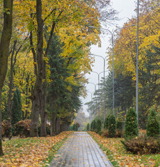 path in autumn park
