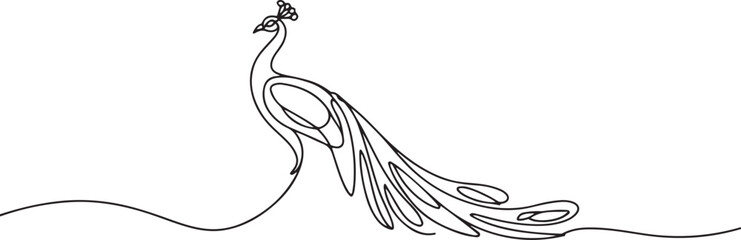 Single continuous line drawing of pretty peacock for company logo identity. Large beauty bird mascot concept for pet lover club icon. one line Icon drawing