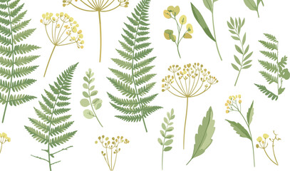 Botanical fern and wild herb elements set with delicate leaves and flowers in flat vector style isolated on white background © Sumon Creative