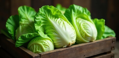 Crisp napa cabbage heads in rustic wooden crate , market, rural