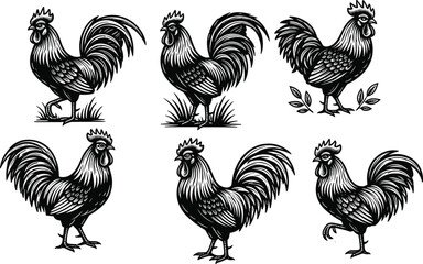 Vector, black, and, white, woodcut, style, illustration, of, six, different, roosters, with, detailed, feathers, for, traditional, farm, poultry, livestock, and, rural, agricultural, decor © MdHarunur