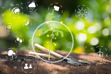 Seedling growing in nature with futuristic interface symbols. Eco-friendly environment and renewable energy concept. Agriculture technology and innovation for sustainability.