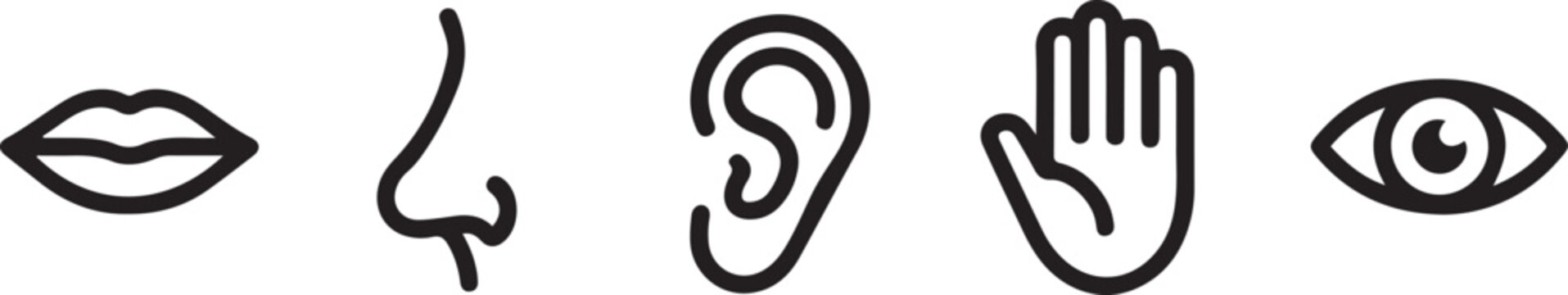 One line five human senses. Mouth to feel taste, nose to smell and ear to hearing. Hand to touch and eye to vision.one line icon illustration in white Background.