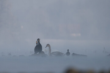 o świcie nad jeziorem © Klaudia