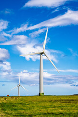 Wind Farm, southeast Scotland, UK