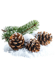 Fototapeta premium Pine cones, greenery, and snow, on a transparent background
