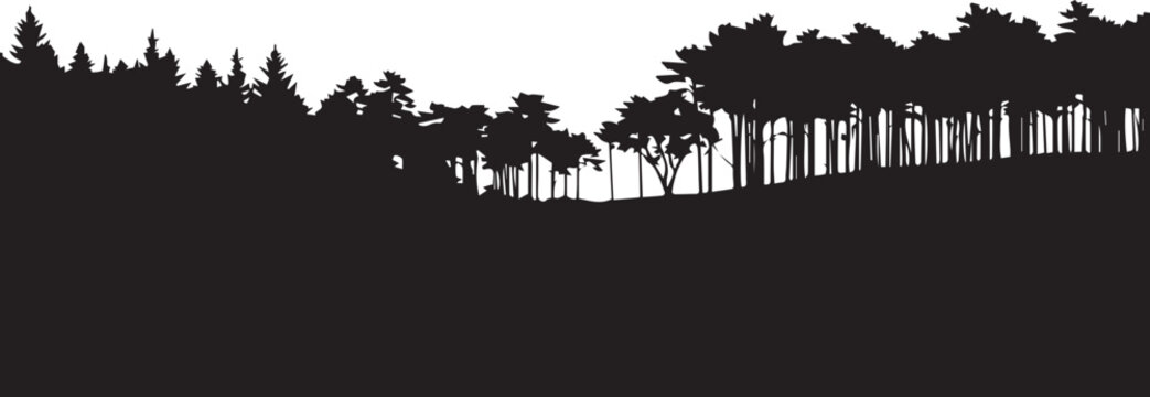 Forest landscape with pine trees vector silhouette illustration line art natural wilderness background