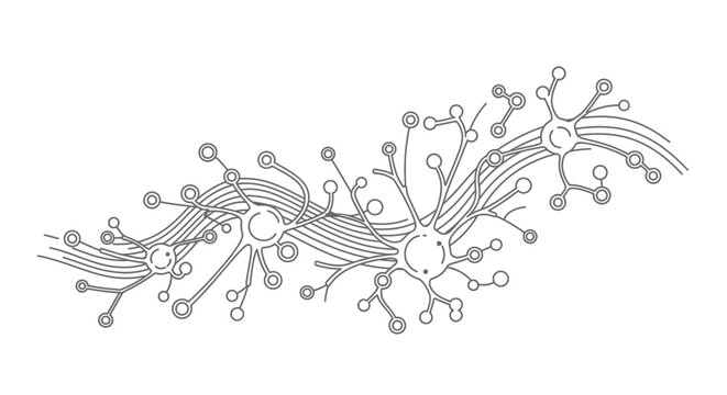 Neurons connecting in complex neural network structure
