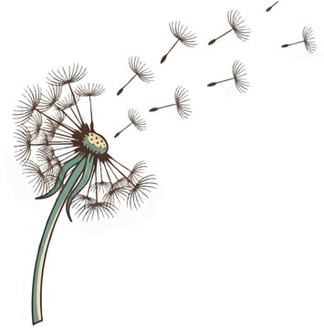 A dandelion's feathery seeds are carried away by an unseen breeze, symbolizing change