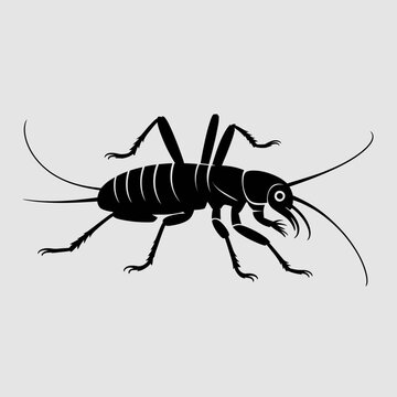 Black silhouette of a camel cricket, with large hind legs and long antennae, isolated on a grey background. Vector illustration of a common cave dweller.