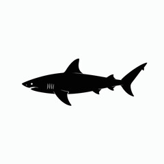 Obraz premium Silhouette of a Great White Shark isolated on white background, symbolizing danger, power, and the ocean's apex predator in a graphic design.