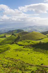 Title: Panoramic view of lush green volcanic hills and coastline on Sao Miguel Island, Azores, Portugal.
