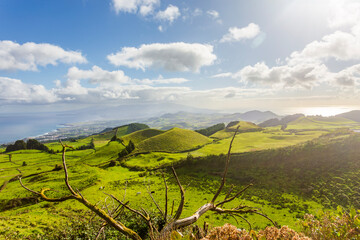 Title: Panoramic view of lush green volcanic hills and coastline on Sao Miguel Island, Azores, Portugal.