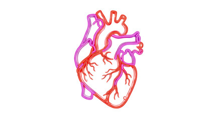 Neon Pink and Red Human Heart Outline on Black Background glowing