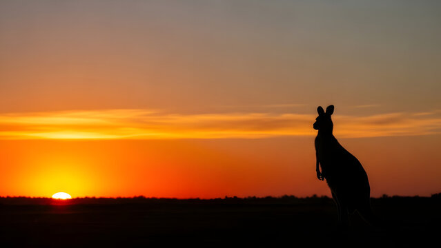 Kangaroo silhouette at sunset in the Australian outback with vibrant orange sky and copy space