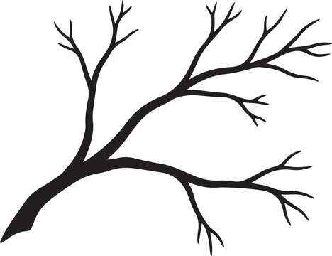 Black tree branch silhouette on white background illustration