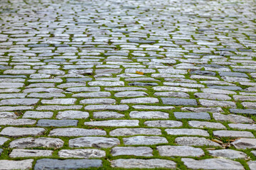 Low angle view of an old cobblestone street with green moss between stones. Authentic urban texture and vintage pattern of a paved road with weathered granite blocks and soft daylight.