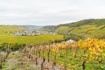 Obraz premium The Moselle River in Germany curves through hills and vineyards. In the distance, we see the city's silhouette The photo captures vibrant autumn colors. It's cloudy during the day