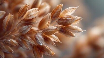 Naklejka premium Macro Close-Up of Grains Cluster with Soft Neutral Background