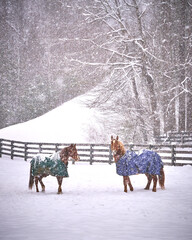 Two horses wearing a winter blanket standing in a snowstorm along a fence.