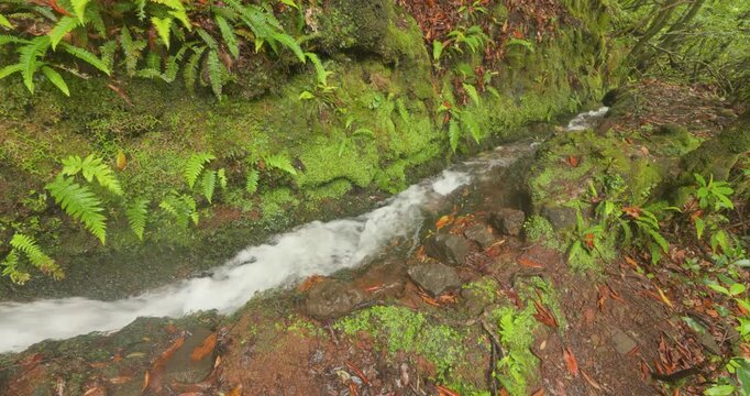 4K video; water flowing in a levada, a traditional man made irrigation channel on the island of Madeira.

