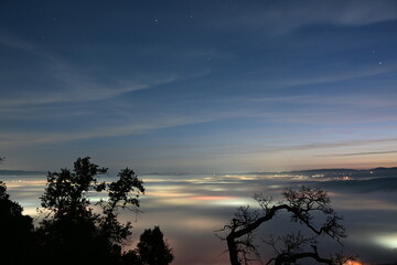 Obraz premium city light shinning through the night fog