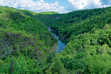 Lily bluff overlook in Tennessee