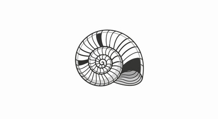 Obraz premium Black and white illustration of a nautilus shell spiral pattern