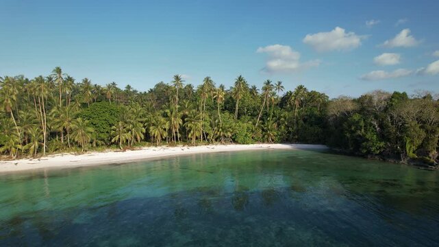 Aerial drone footage circling a tropical beach lined with coconut palm trees, with clear turquoise water and white sand shoreline with a visible parallax effect between clouds and coastal landscape