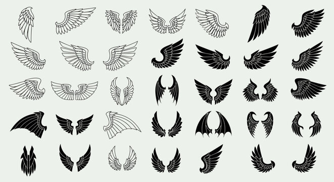 Large collection of diverse black and white wing shapes including angel, bird, and demon styles on a bright studio background.