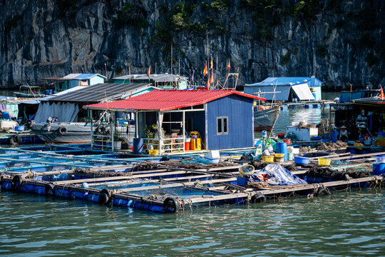 Vietnam, Vat Ba, Halong, Reisen, Wasser, Felsen, Asien