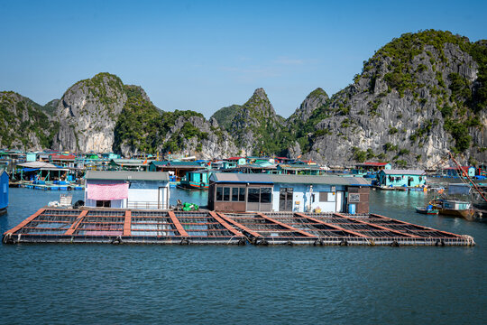 Vietnam, Vat Ba, Halong, Reisen, Wasser, Felsen, Asien