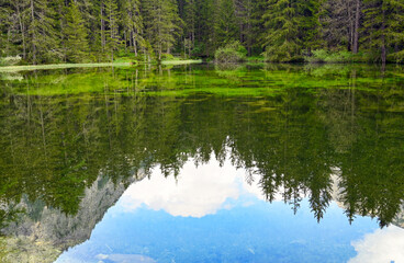 Reflection of the forest in the water,The Green Lake in Styria,Austria, springtime