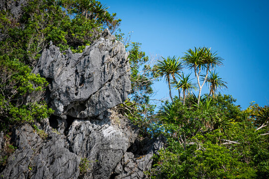 Vietnam, Vat Ba, Halong, Reisen, Wasser, Felsen, Asien