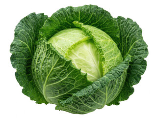 Obraz premium Fresh Whole Green Cabbage Head Isolated
