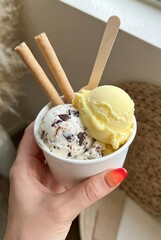 Delightful scoop of ice cream in a small cup