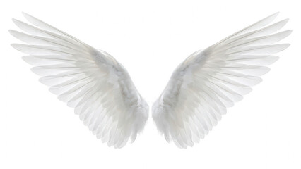 Obraz premium Pair of Bright White Angel or Bird Wings Against a Deep Dark Void
