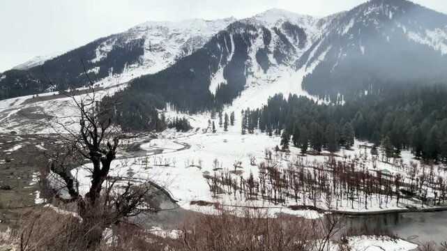 Breathtaking natural scenery of Betaab Valley featuring lush green meadows, snow-capped Himalayan peaks, flowing streams, and serene landscapes in Pahalgam, Kashmir.