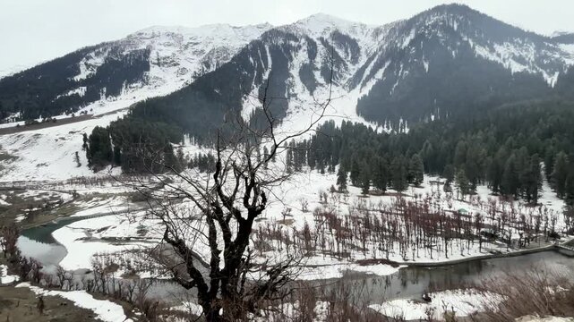 Breathtaking natural scenery of Betaab Valley featuring lush green meadows, snow-capped Himalayan peaks, flowing streams, and serene landscapes in Pahalgam, Kashmir.