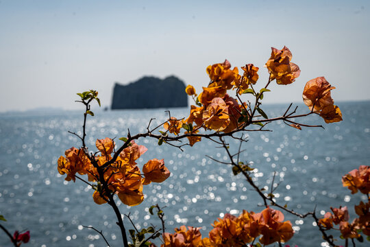 Vietnam, Reisen, Wasser, Cat Ba, Asien