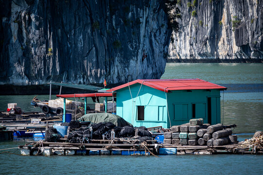 Vietnam, Cat Ba, Halong, Asien, Reisen, Travel, Wasser, Felsen, Boote