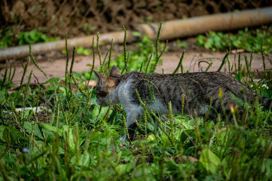 Vietnam, Reisen, Wasser, Cat Ba, Asien
