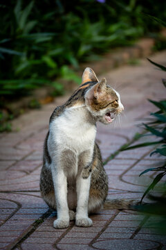 Vietnam, Reisen, Wasser, Cat Ba, Asien