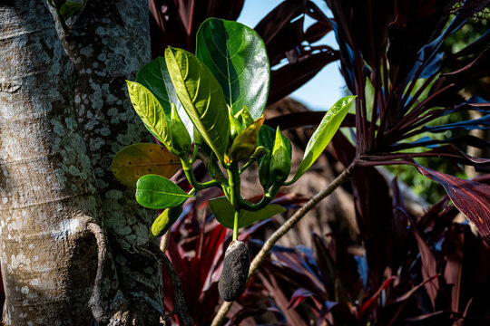 Vietnam, Reisen, Wasser, Cat Ba, Asien