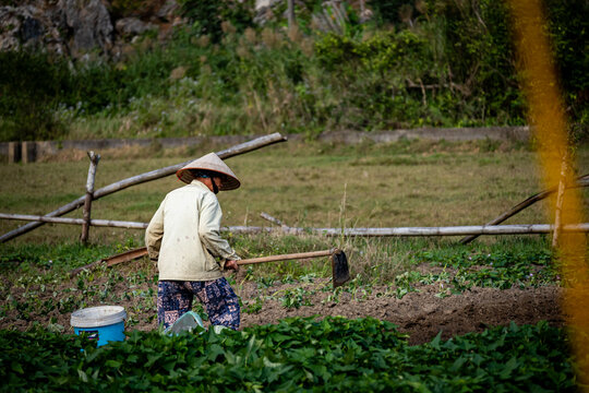 Vietnam, Reisen, Wasser, Cat Ba, Asien
