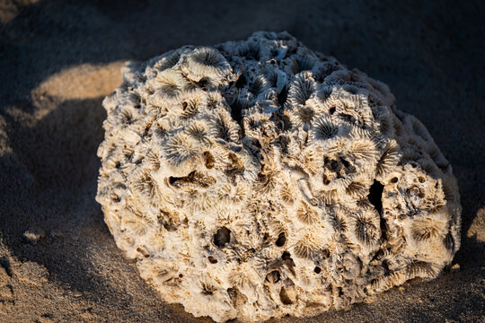 Vietnam, Reisen, Wasser, Cat Ba, Asien