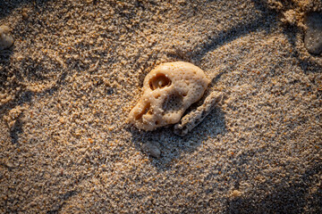 vietnam, vietnam travel, southeast asia, asia travel, ha long bay, halong bay vietnam, limestone karst, cat ba island, tropical landscape, ninh binh, tam coc, rice fields vietnam, river landscape, une