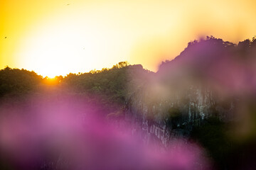 vietnam, vietnam travel, southeast asia, asia travel, ha long bay, halong bay vietnam, limestone karst, cat ba island, tropical landscape, ninh binh, tam coc, rice fields vietnam, river landscape, une